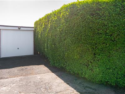 Picture 20